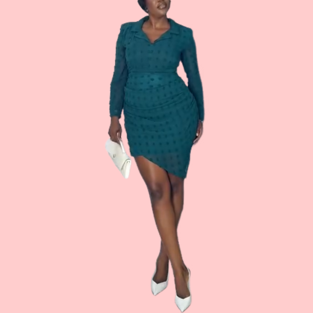 Blue Shirt Collar Mini Dress