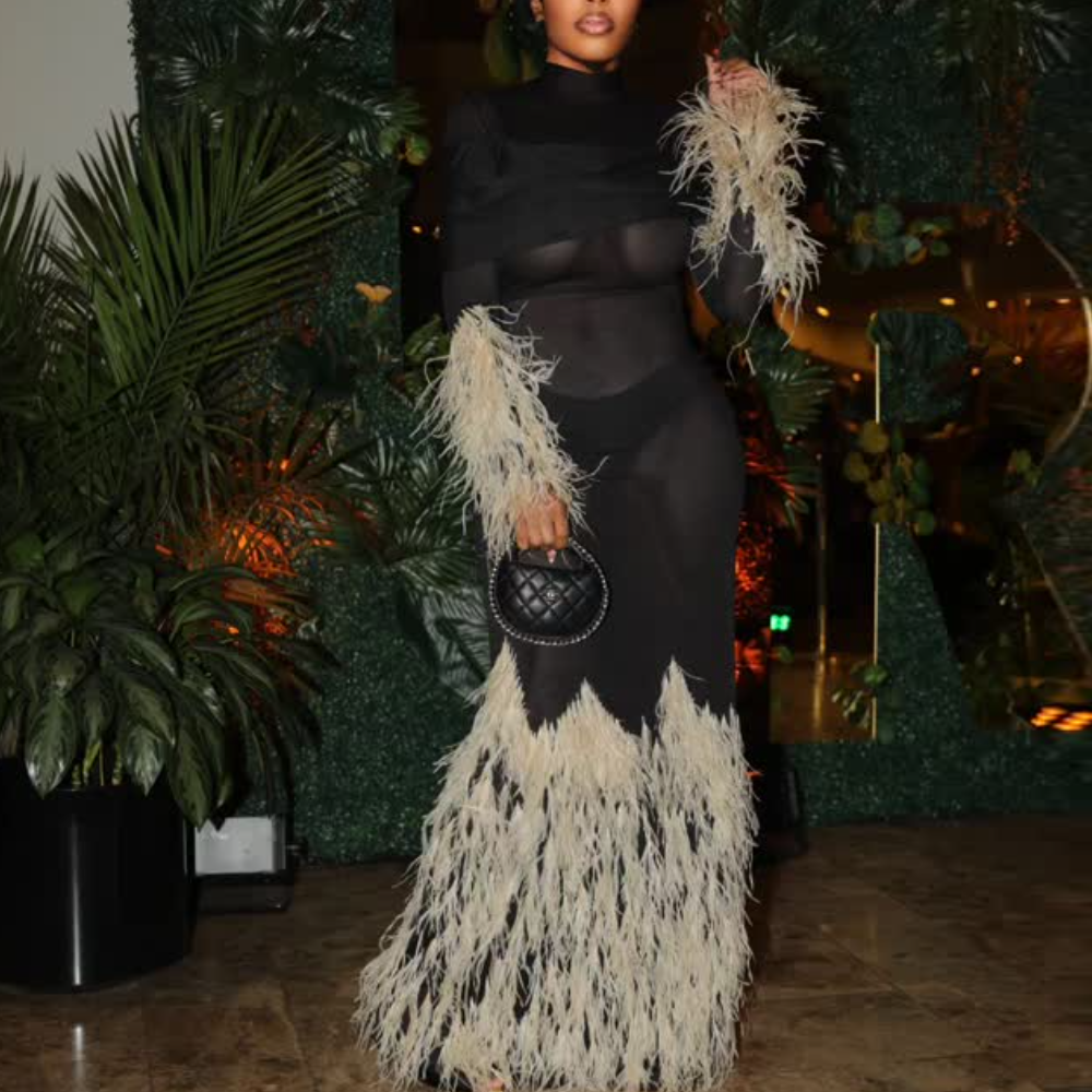 Black Mesh and Feather Patchwork Maxi Dress