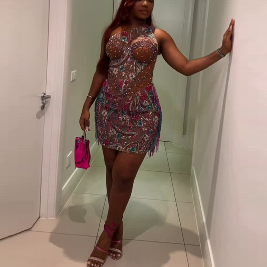 Mesh Embroidered Shoulder Mini Dress